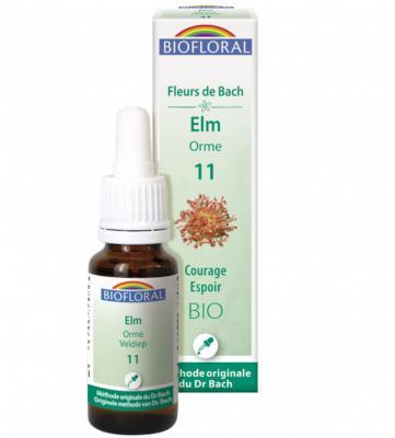 Orme n°11 Biofloral