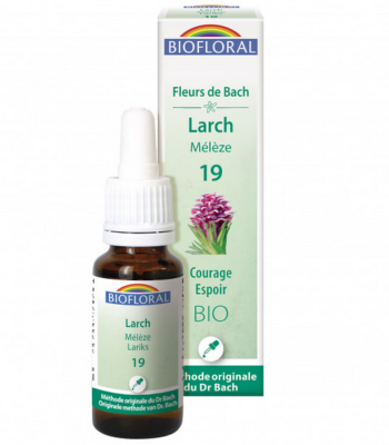 Mélèze n°19 Biofloral