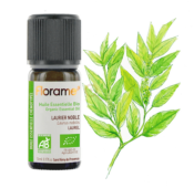 Huile Essentielle de Laurier Noble Bio