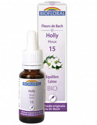 Houx n°15 Biofloral