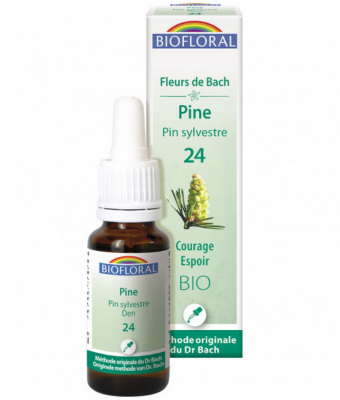 Pin Sylvestre n°24 Biofloral