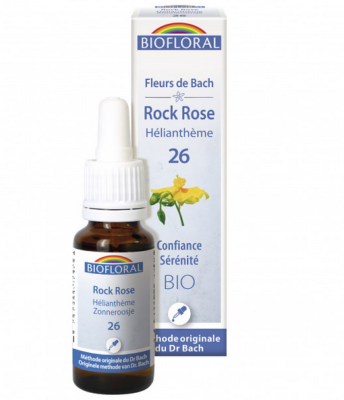 Hélianthème n°26 Biofloral